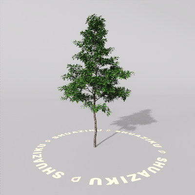 图片[4]-D5室外绿植树木模型8个-刷子库