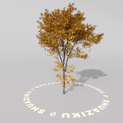 图片[6]-D5室外绿植树木模型8个-刷子库