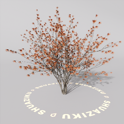 图片[8]-D5室外绿植树木模型8个-刷子库