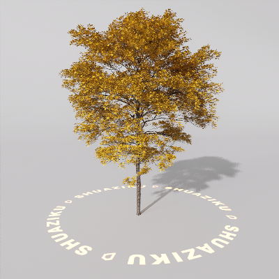 图片[7]-D5室外绿植树木模型8个-刷子库