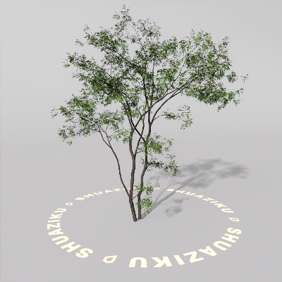 图片[1]-D5室外绿植树木模型20个-刷子库