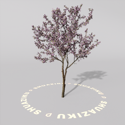 图片[3]-D5室外绿植树木模型20个-刷子库