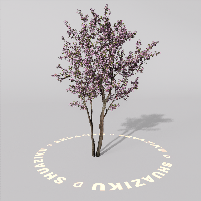 图片[6]-D5室外绿植树木模型20个-刷子库