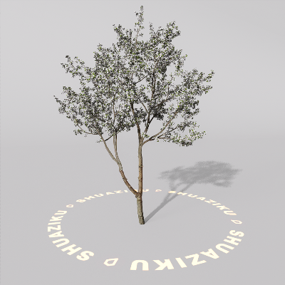 图片[8]-D5室外绿植树木模型20个-刷子库