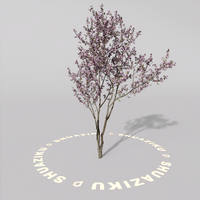 图片[7]-D5室外绿植树木模型20个-刷子库