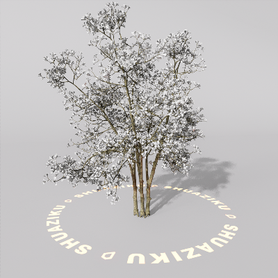 图片[9]-D5室外绿植树木模型20个-刷子库