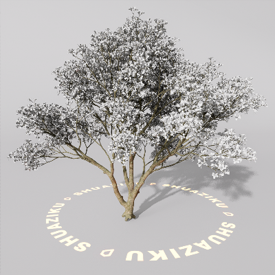 图片[10]-D5室外绿植树木模型20个-刷子库