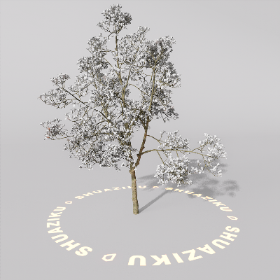 图片[11]-D5室外绿植树木模型20个-刷子库