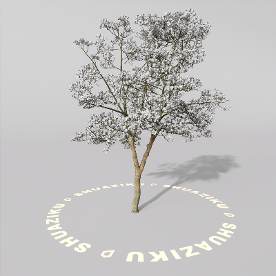 图片[12]-D5室外绿植树木模型20个-刷子库