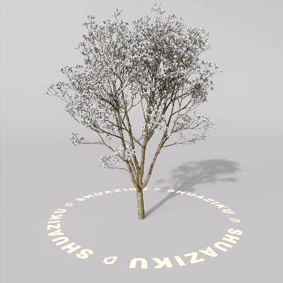 图片[14]-D5室外绿植树木模型20个-刷子库