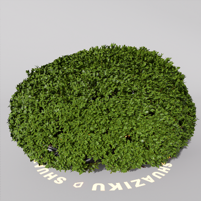 图片[15]-D5室外绿植树木模型20个-刷子库