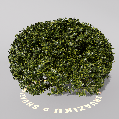 图片[16]-D5室外绿植树木模型20个-刷子库