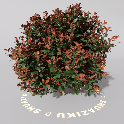 图片[1]-D5室外绿植树木模型20个-刷子库