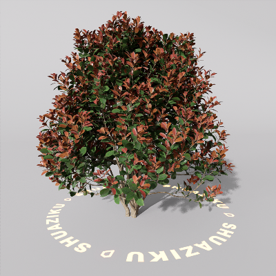 图片[2]-D5室外绿植树木模型20个-刷子库