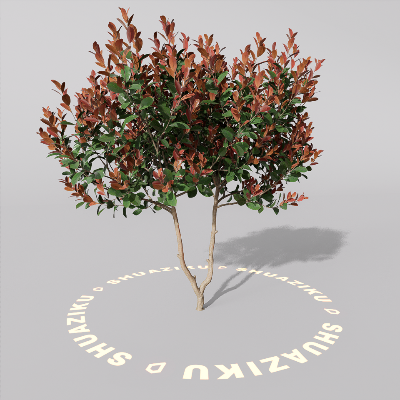 图片[3]-D5室外绿植树木模型20个-刷子库