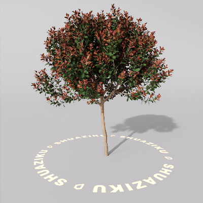 图片[4]-D5室外绿植树木模型20个-刷子库