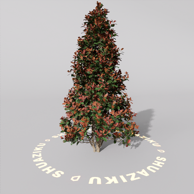 图片[5]-D5室外绿植树木模型20个-刷子库