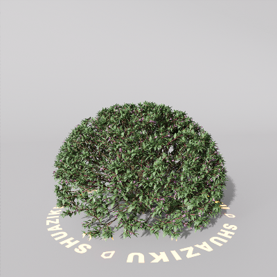 图片[7]-D5室外绿植树木模型20个-刷子库