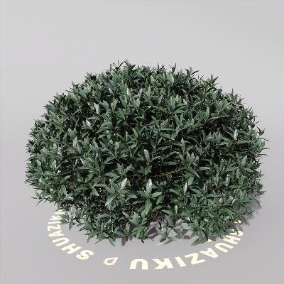 图片[8]-D5室外绿植树木模型20个-刷子库