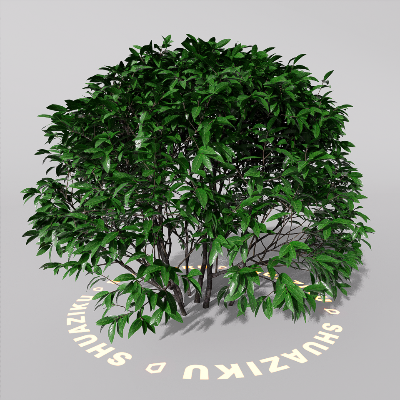 图片[9]-D5室外绿植树木模型20个-刷子库