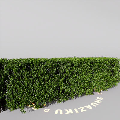 图片[12]-D5室外绿植树木模型20个-刷子库