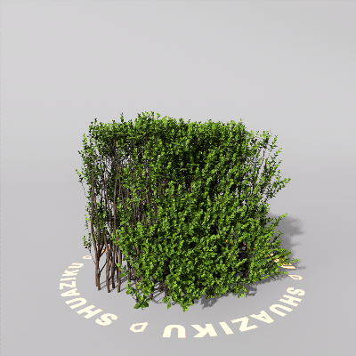 图片[13]-D5室外绿植树木模型20个-刷子库