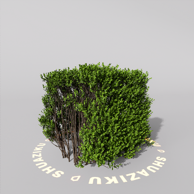 图片[16]-D5室外绿植树木模型20个-刷子库