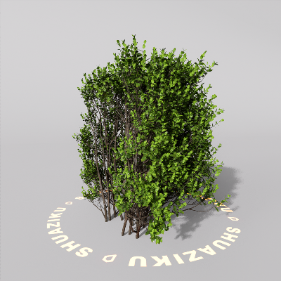 图片[15]-D5室外绿植树木模型20个-刷子库