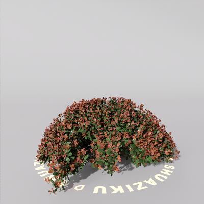 图片[18]-D5室外绿植树木模型20个-刷子库