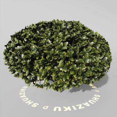 图片[17]-D5室外绿植树木模型20个-刷子库