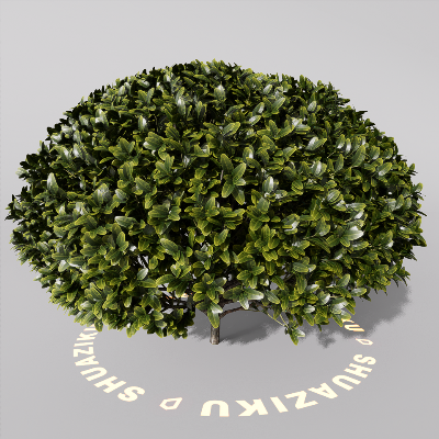 图片[20]-D5室外绿植树木模型20个-刷子库