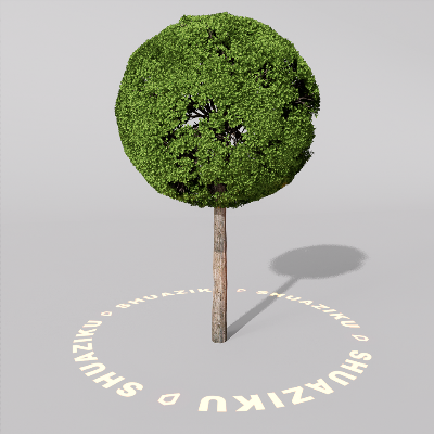 图片[2]-D5室外绿植树木模型20个-刷子库