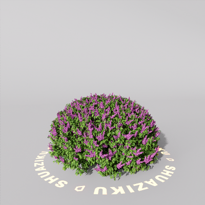 图片[3]-D5室外绿植树木模型20个-刷子库