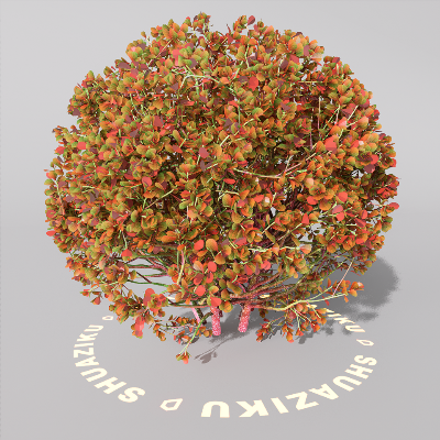 图片[6]-D5室外绿植树木模型20个-刷子库