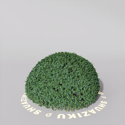 图片[10]-D5室外绿植树木模型20个-刷子库