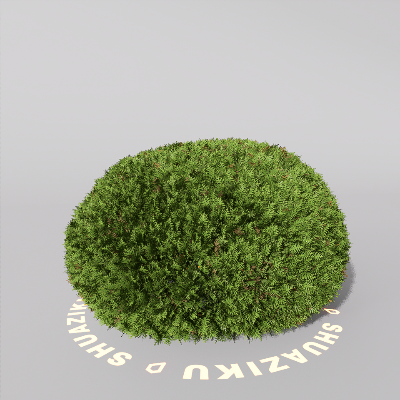 图片[11]-D5室外绿植树木模型20个-刷子库