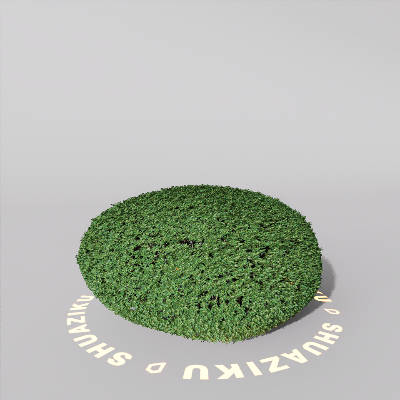 图片[12]-D5室外绿植树木模型20个-刷子库