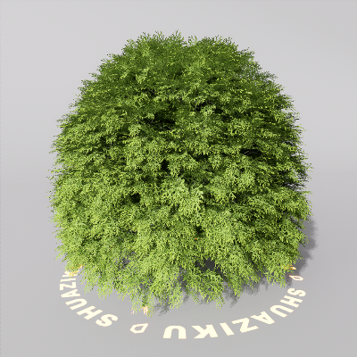 图片[13]-D5室外绿植树木模型20个-刷子库