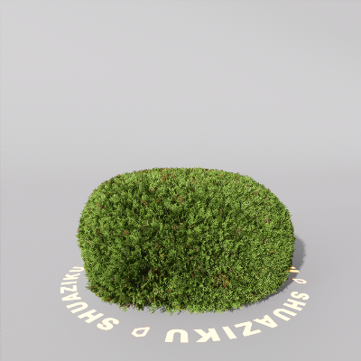 图片[14]-D5室外绿植树木模型20个-刷子库