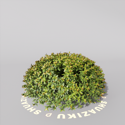 图片[17]-D5室外绿植树木模型20个-刷子库