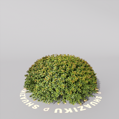 图片[18]-D5室外绿植树木模型20个-刷子库