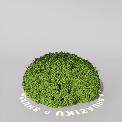 图片[20]-D5室外绿植树木模型20个-刷子库