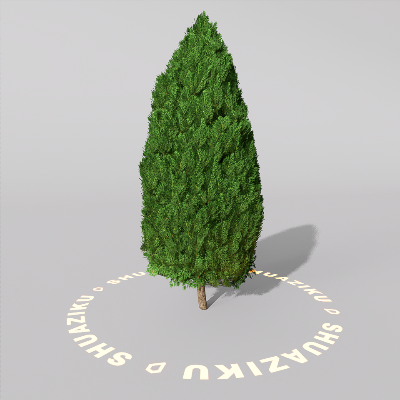 图片[1]-D5室外绿植树木模型20个-刷子库