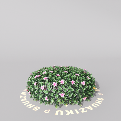 图片[2]-D5室外绿植树木模型20个-刷子库