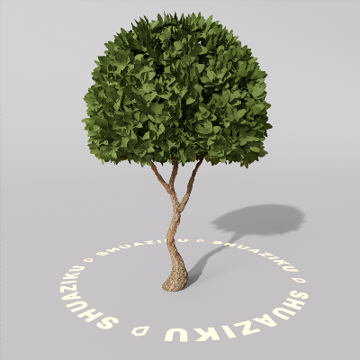 图片[5]-D5室外绿植树木模型20个-刷子库