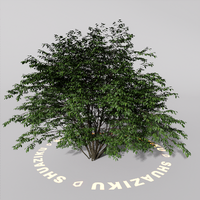 图片[8]-D5室外绿植树木模型20个-刷子库