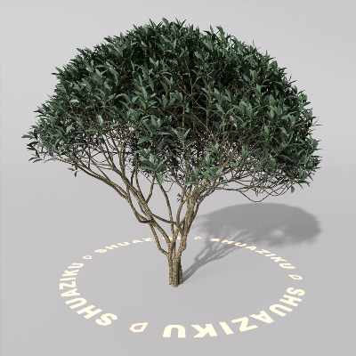 图片[11]-D5室外绿植树木模型20个-刷子库