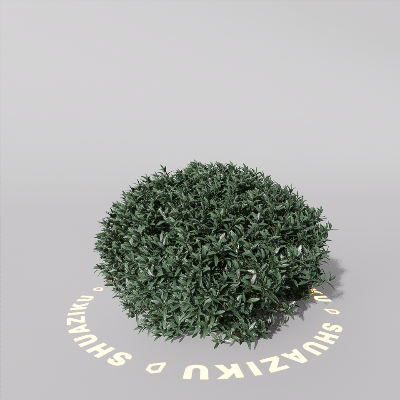 图片[12]-D5室外绿植树木模型20个-刷子库