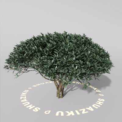 图片[13]-D5室外绿植树木模型20个-刷子库