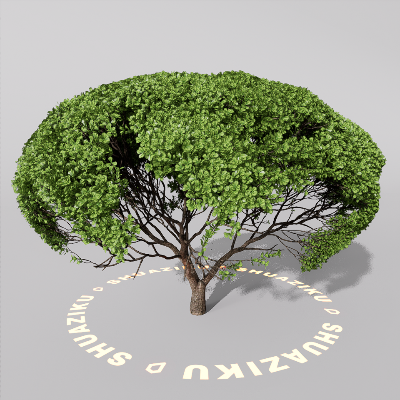 图片[15]-D5室外绿植树木模型20个-刷子库